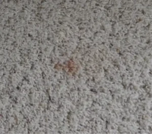 Carpet before cleaning — visible staining and smoke contamination in a Medford home