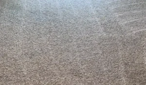 Same carpet after truck-mounted professional extraction — clean fiber texture restored
