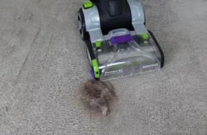 Deep professional carpet cleaning Medford — 10-step IICRC certified process