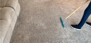 Professional carpet being cleaned in a Medford Oregon living room